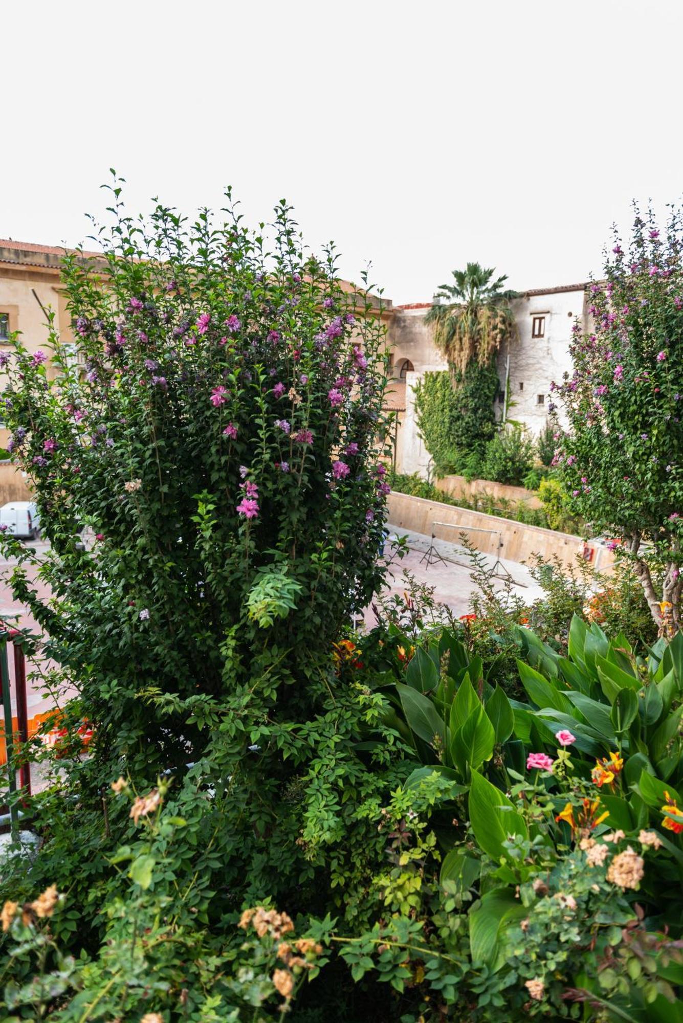 L' Arena - Sicilian Style 140 Mq Flat With Balcony And Arena Seeview
